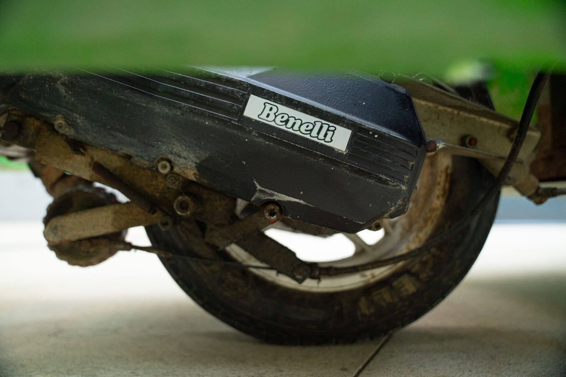 Patriarca Delfina for sale | 1994 PATRIARCA DELFINA - Image 34