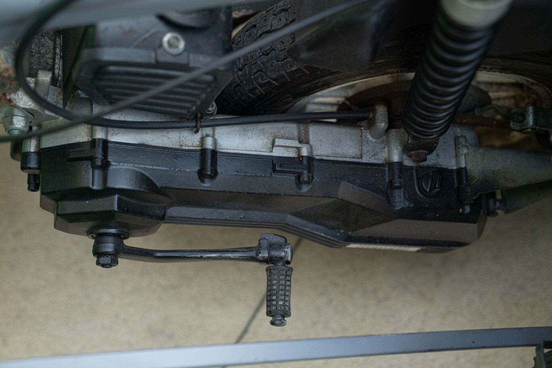 Patriarca Delfina for sale | 1994 PATRIARCA DELFINA - Image 36