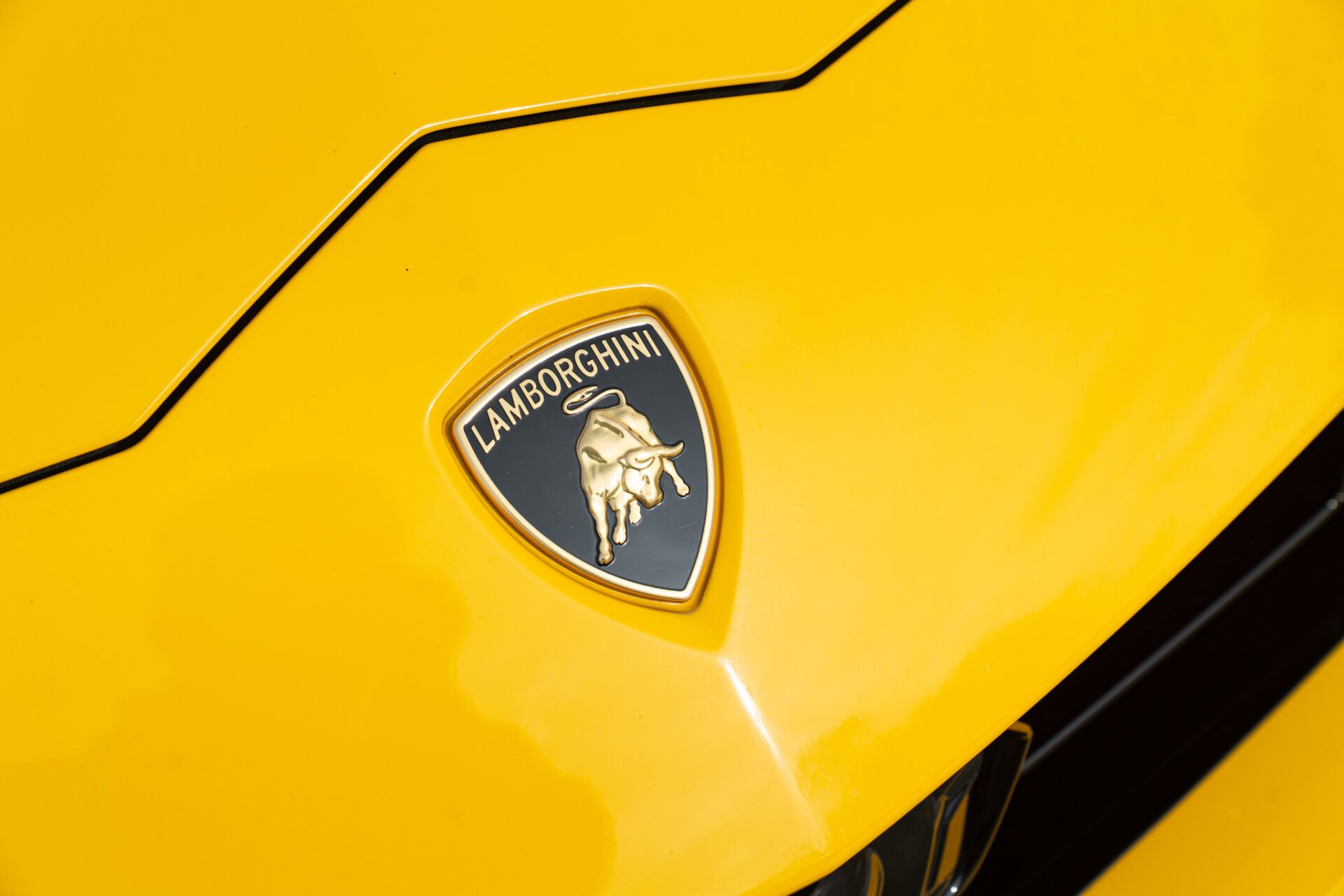 Lamborghini Urus for sale | 2019 LAMBORGHINI URUS - Image 29