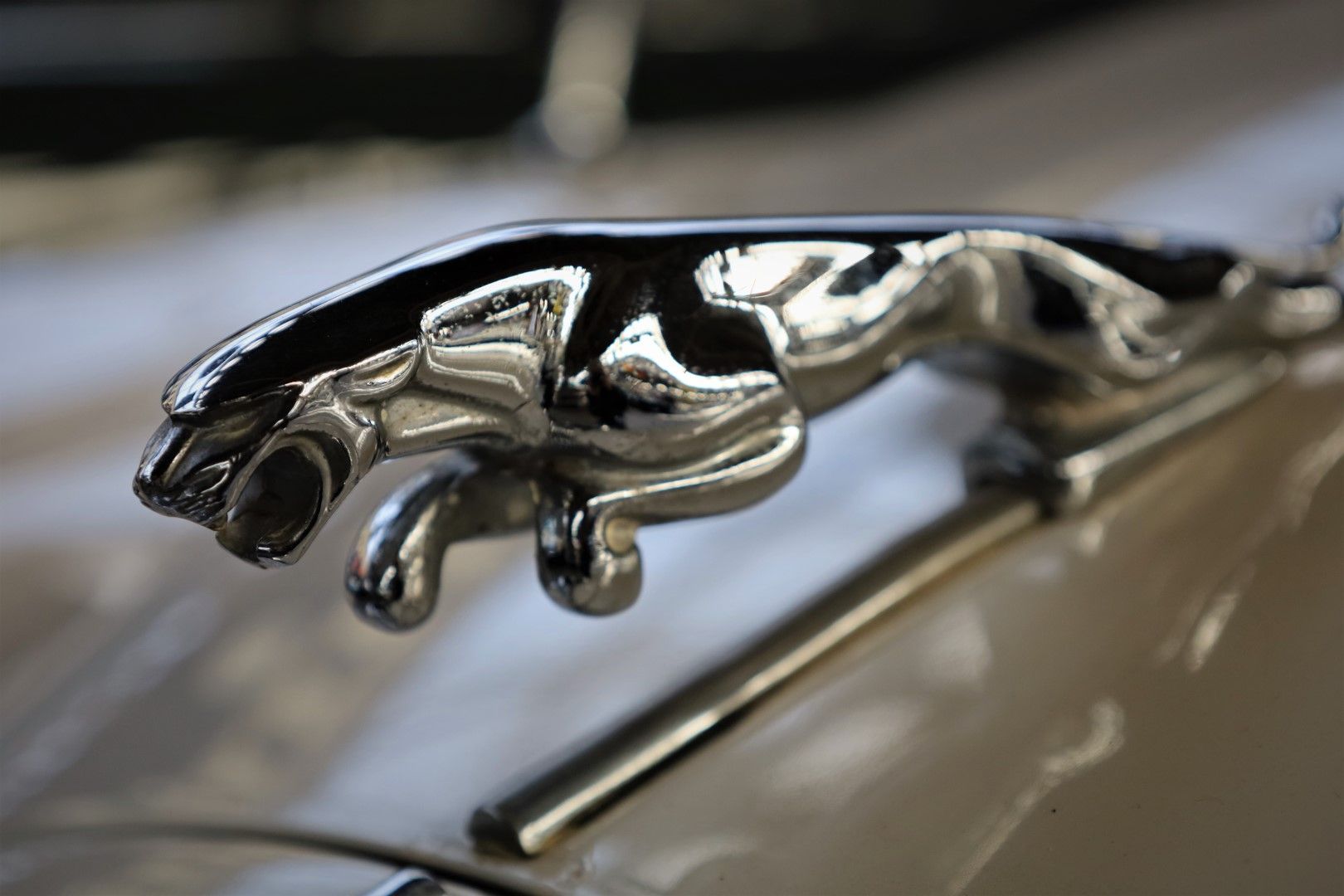 Jaguar Mark 2 for sale | Jaguar - MK2 RHD to restore