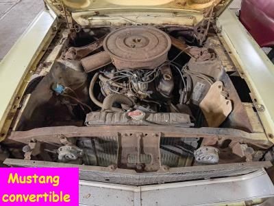 Ford Mustang for sale | Ford - Mustang cabrio - Image 12