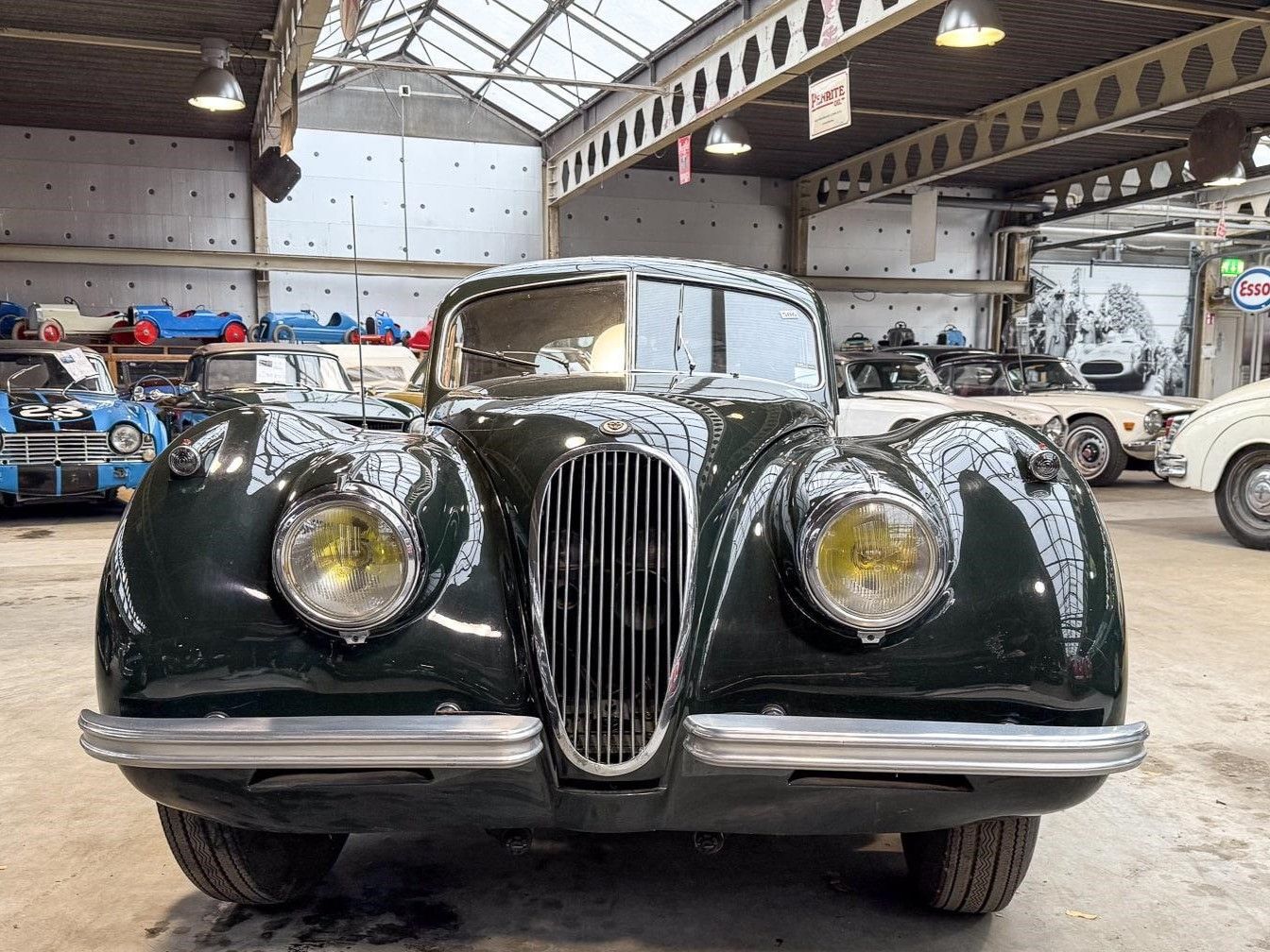 Jaguar XK120 for sale | Jaguar - XK 120 coupé - Image 2