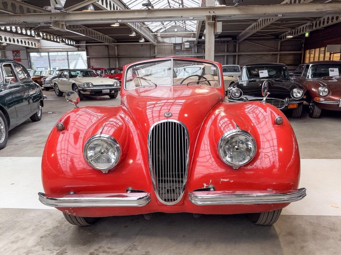 Jaguar XK 120 for sale | Jaguar - XK 120 DHC - Image 2