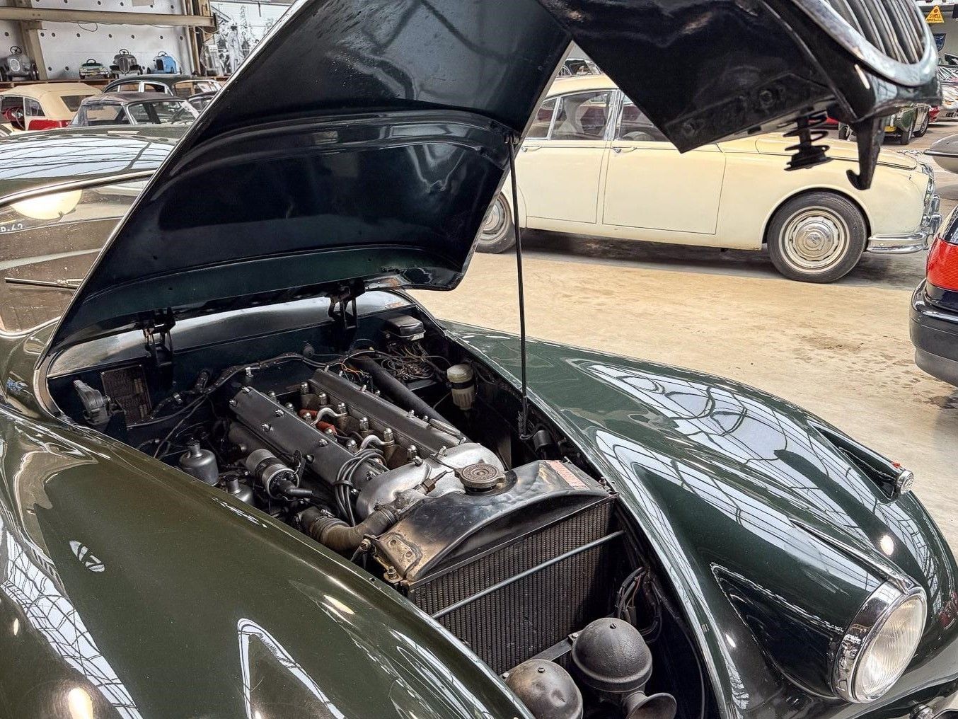 Jaguar XK120 for sale | Jaguar - XK 120 coupé - Image 15