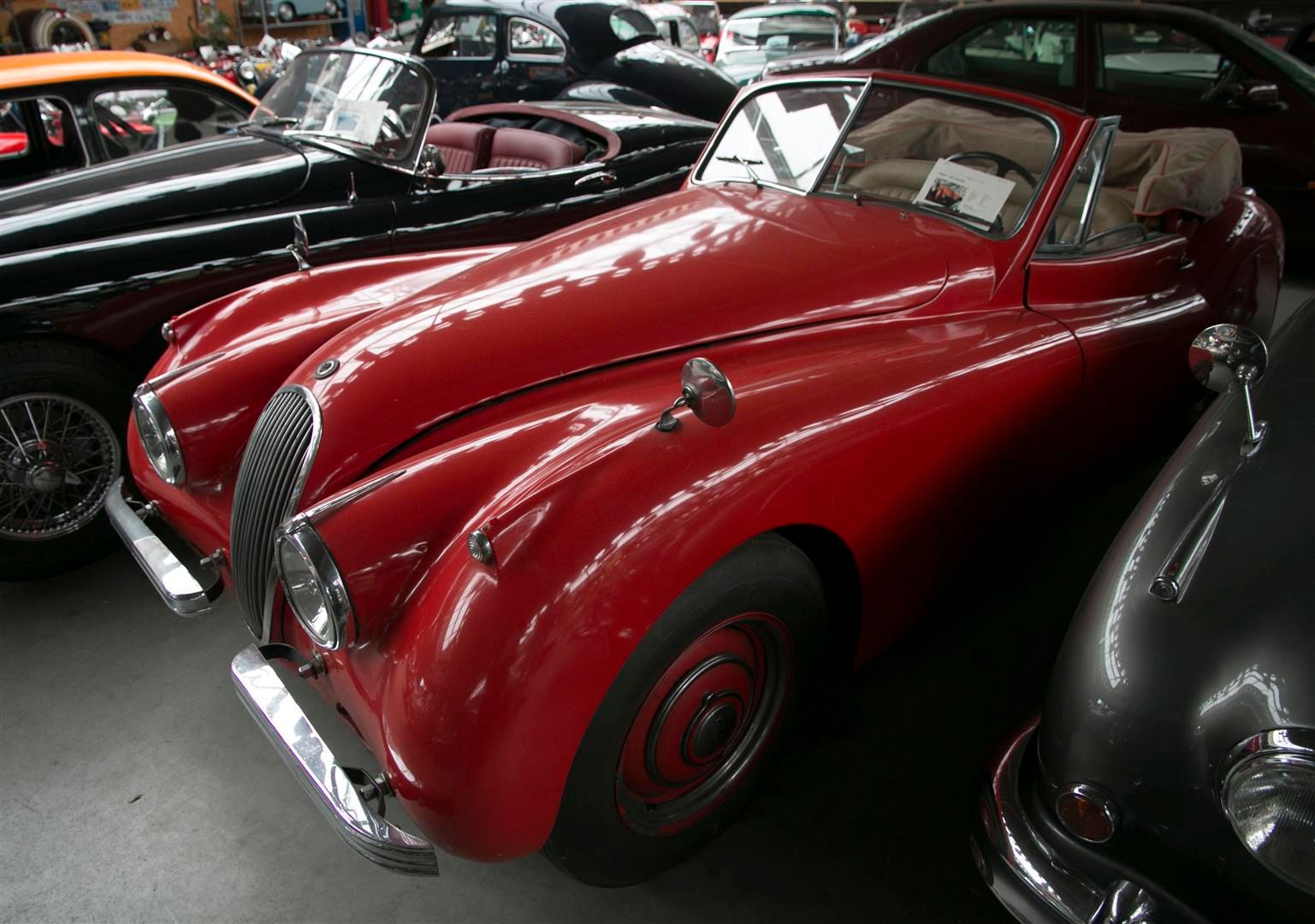 Jaguar XK 120 for sale | Jaguar - XK 120 DHC - Image 16