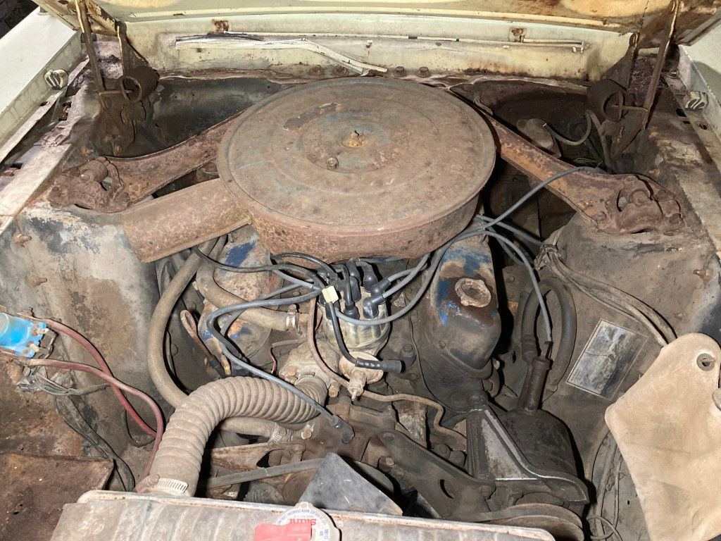 Ford Mustang for sale | Ford - Mustang cabrio - Image 3