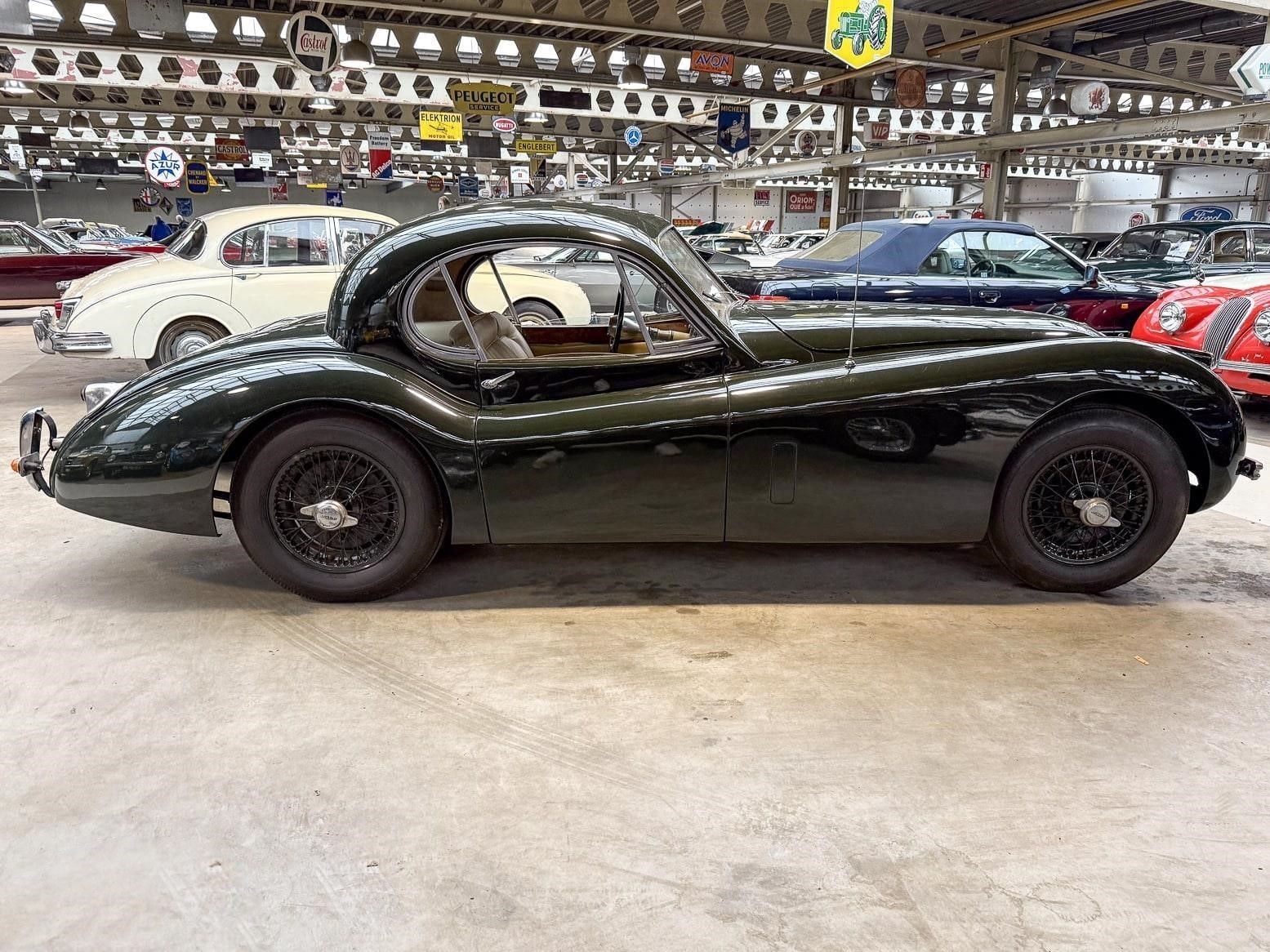 Jaguar XK120 for sale | Jaguar - XK 120 coupé - Image 13