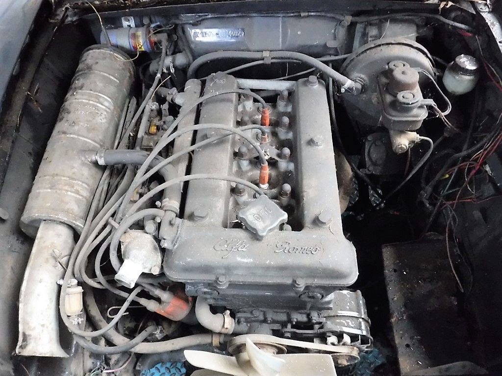 Alfa Romeo Giulia (105/115) Berlina for sale | Alfa Romeo - Giulia 1600 Super Biscione - Image 30