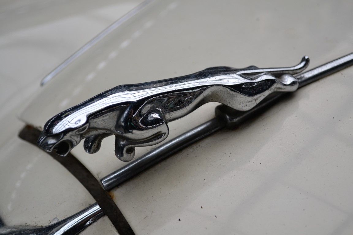 Jaguar MK2 for sale | Jaguar - MK2 - wit - Image 17