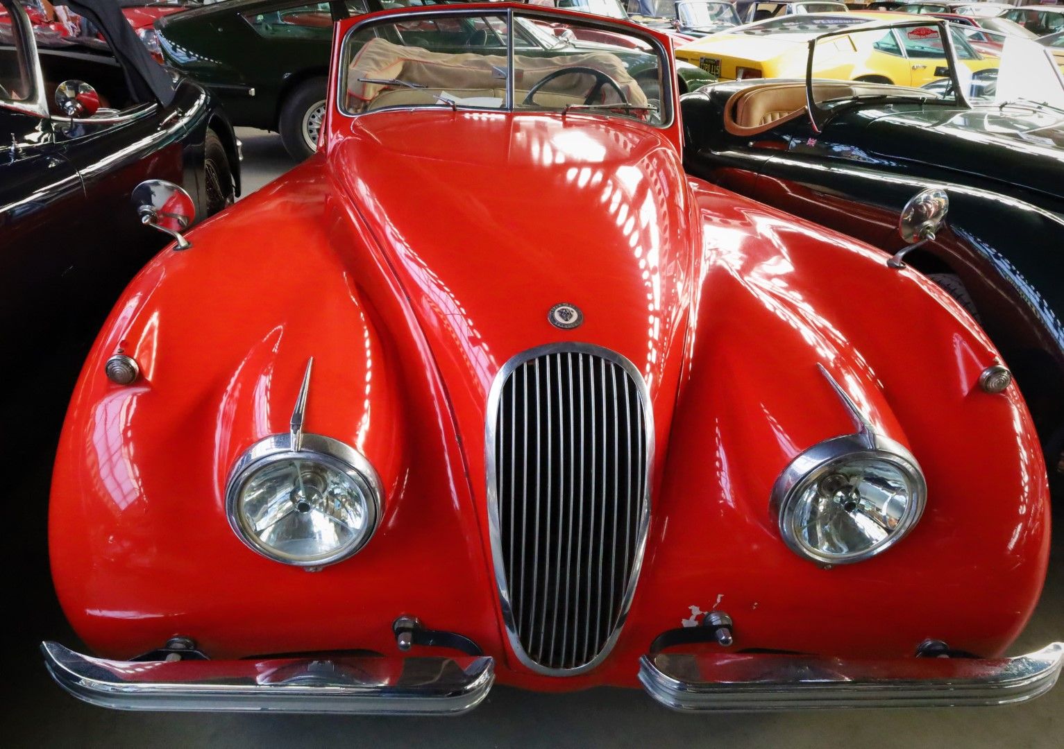 Jaguar XK 120 for sale | Jaguar - XK 120 DHC - Image 38