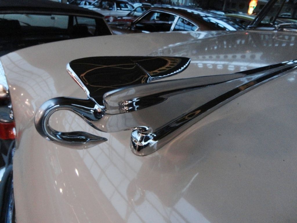 Packard Convertible for sale | Packard - Deluxe Cabriolet - Image 5