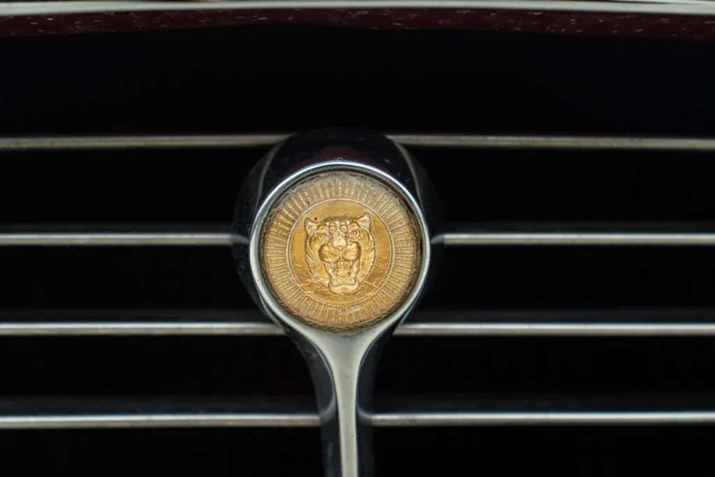 Jaguar E-Type for sale | 1972 JAGUAR E TYPE V12 - Image 19