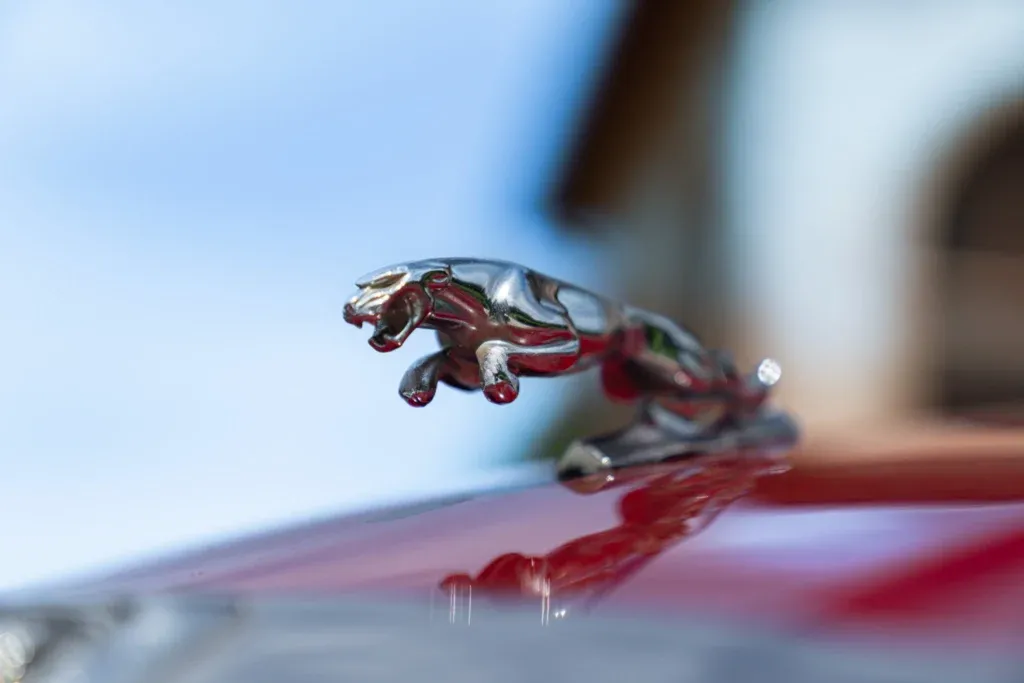 Jaguar XJ6 for sale | 1981 JAGUAR XJ6 4.2 MANUALE - Image 12