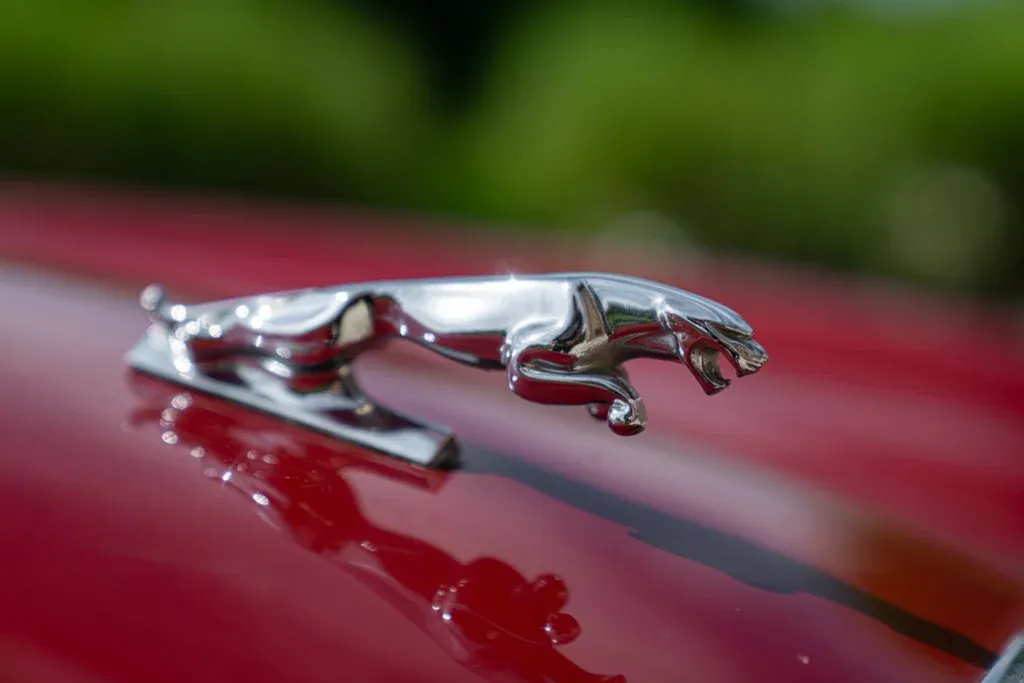 Jaguar XJ6 for sale | 1981 JAGUAR XJ6 4.2 MANUALE - Image 23