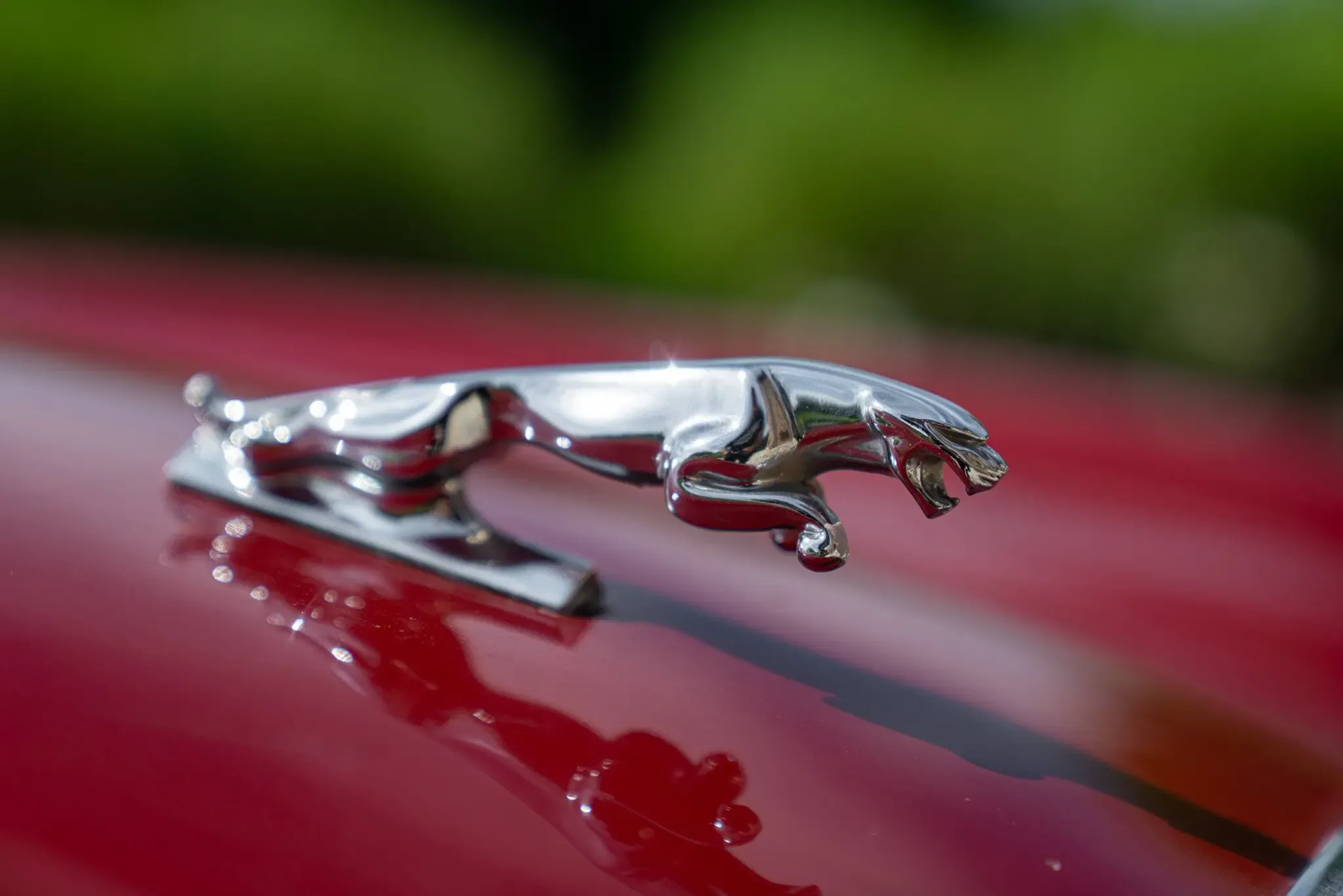 Jaguar XJ6 for sale | 1981 JAGUAR XJ6 4.2 MANUALE - Image 23