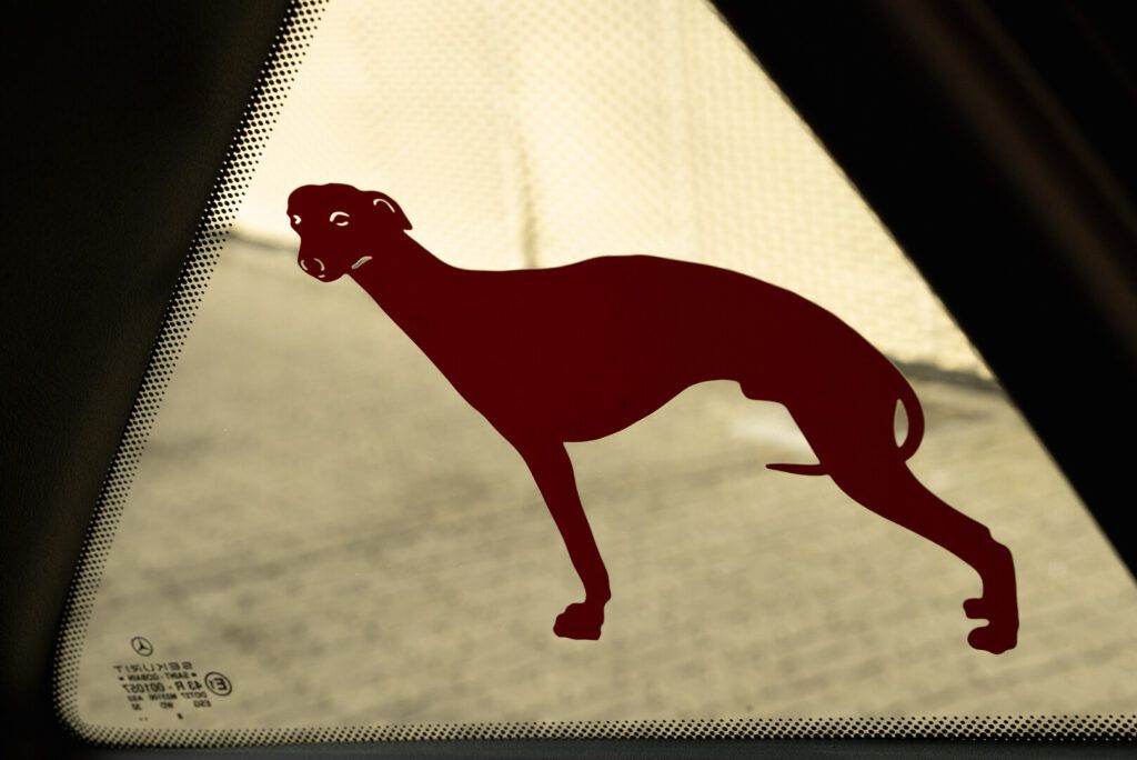 Mercedes-Benz A-Class for sale | 1999 Mercedes-Benz A160 Mika Hakkinen Edition - Image 36