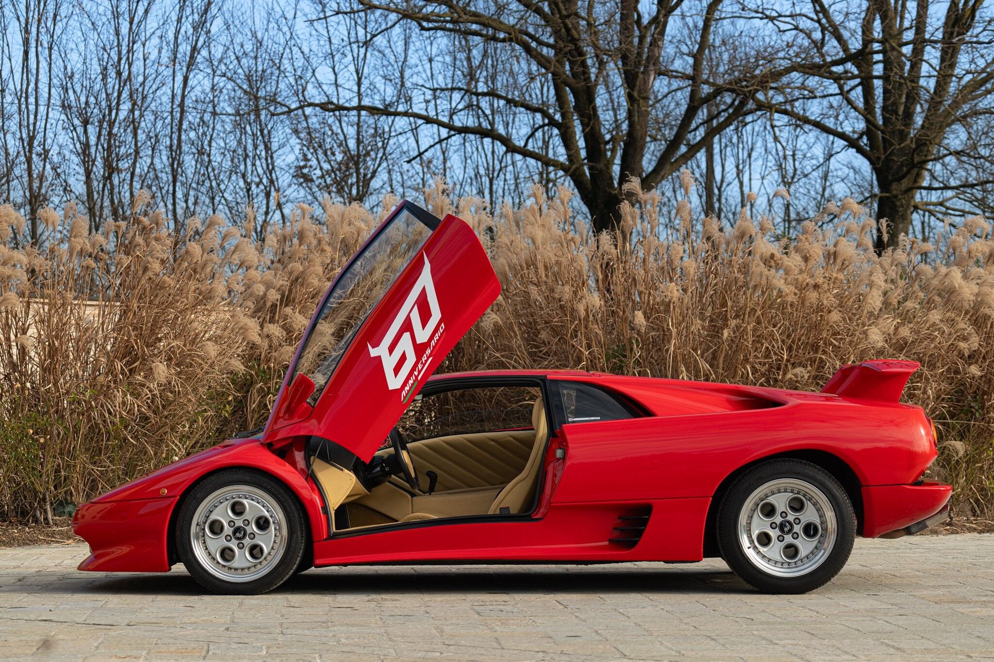 Lamborghini Diablo for sale | 1993 LAMBORGHINI DIABLO VT - Image 9